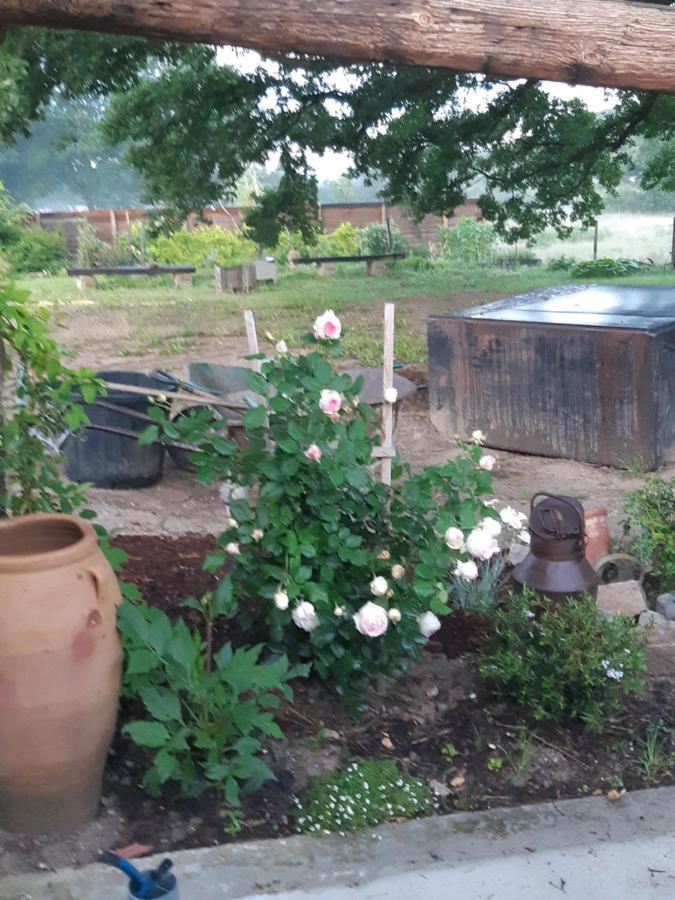 Atelier Natur'L Les Ronzieres Saint-Paul-d'Uzore Luaran gambar